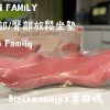 SUN FAMILY 腰部/臀部放鬆坐墊Sun Family