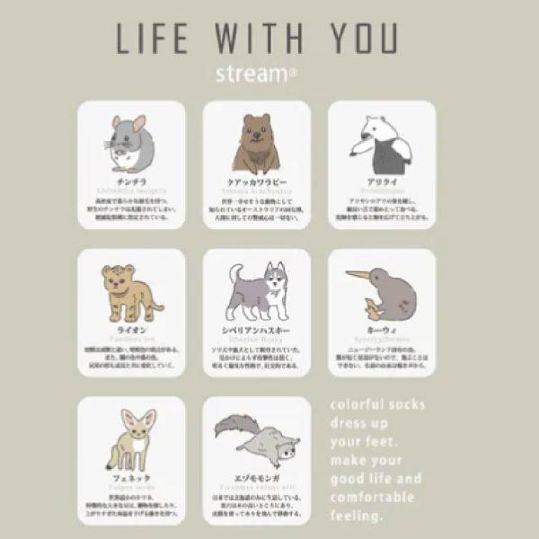 STREAM LIFE WITH YOU 動物刺繡襪 短襪 直筒襪