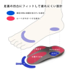 日本製 鞋墊除臭 可水洗