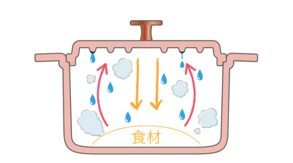 日本 Cookshare 輕巧萬用無加水鍋  IH對應X直火