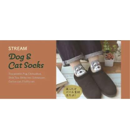 STREAM 狗狗與貓咪襪子