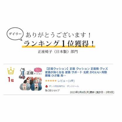 姿勢輔助正坐坐墊（日本製）