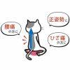 姿勢輔助正坐坐墊（日本製）