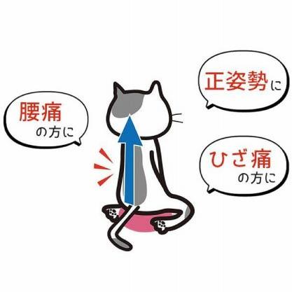 姿勢輔助正坐坐墊（日本製）