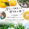 日本高知県產 DAILY AROMA Japan 柚子精油芳香護甲油