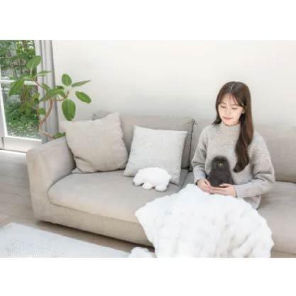 蓬鬆毛絨動物 暖身抱枕／暖腹帶 貓咪款