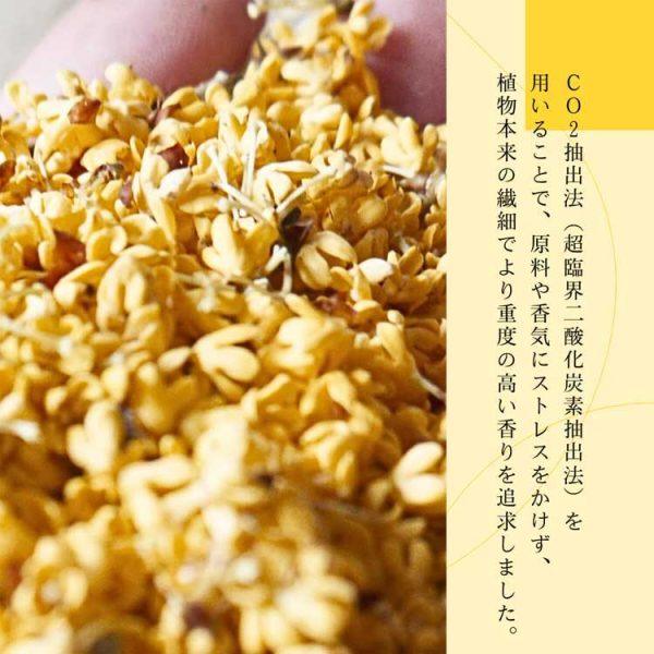 生活の木 金木犀系列 身體乳  200ml