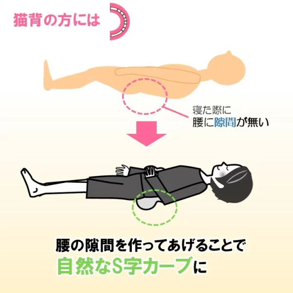 空間貼合的蓬鬆護腰枕 腰部枕 肩膀枕