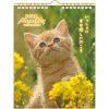 2026 貓咪 系列壁掛月曆