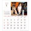2026 貓咪系列桌上型月曆