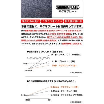 日本 TAKUMI 匠系列 24cm 炒鍋