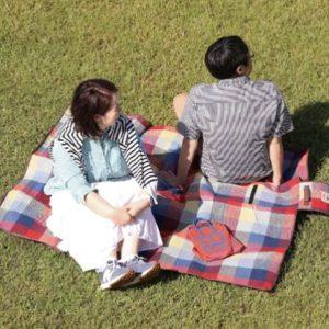 日本野餐墊S號 防水露營地墊 戶外 野餐墊