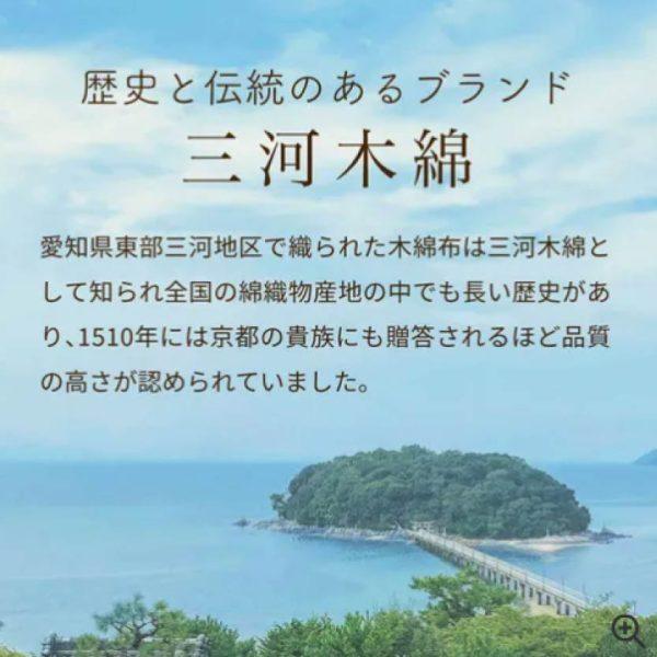 日本製三河木棉 五重紗蓋毯