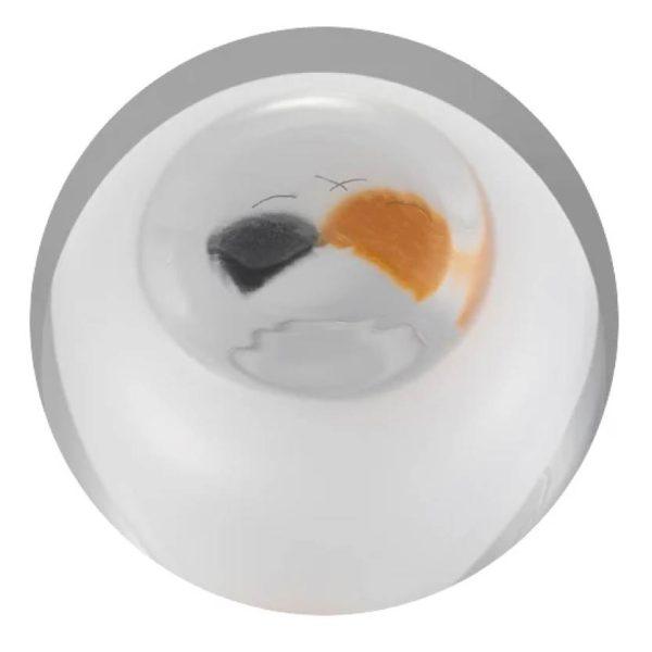 日本製 ADERIA 我的家人 貓咪玻璃杯 340ml 可愛療癒貓杯