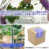 喜多方 江戶玻璃風鈴（植物花卉款）