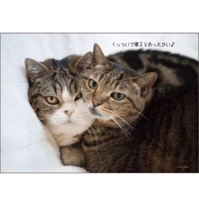 Maru-chan 壁掛月曆2027