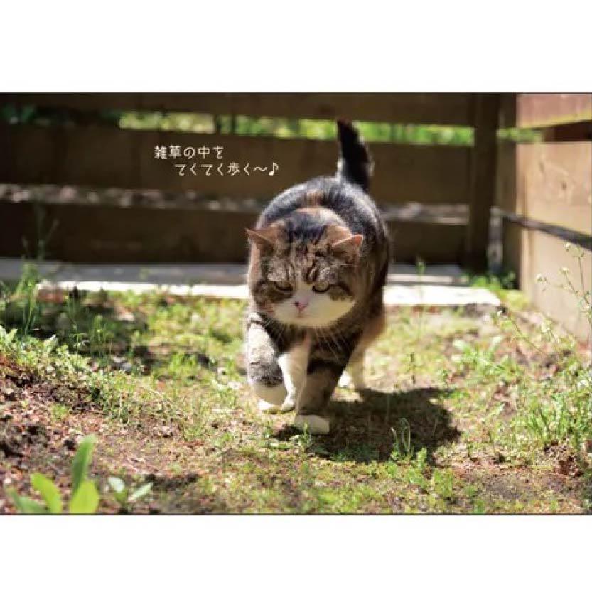 Maru-chan 壁掛月曆2027