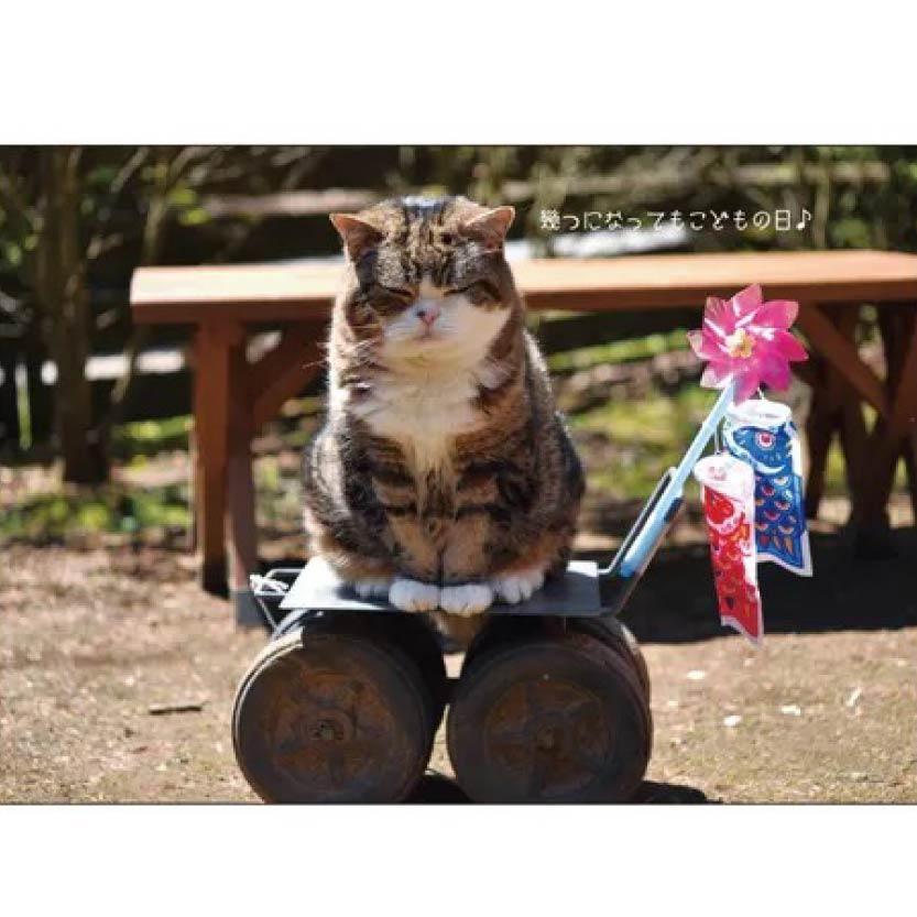 Maru-chan 壁掛月曆2027